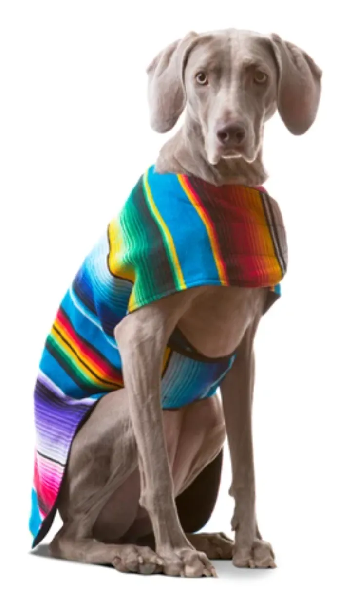 Baja Poncho Mexican Serape Blanket (Blue)