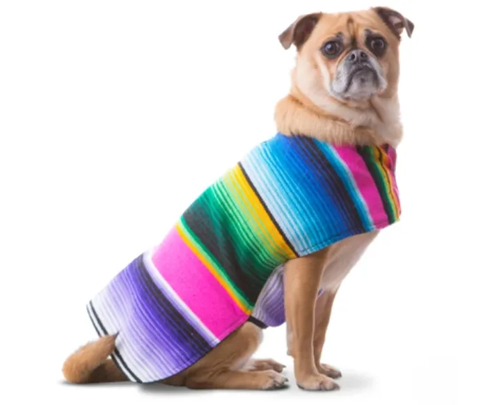 Baja Poncho Mexican Serape Blanket (Pink)