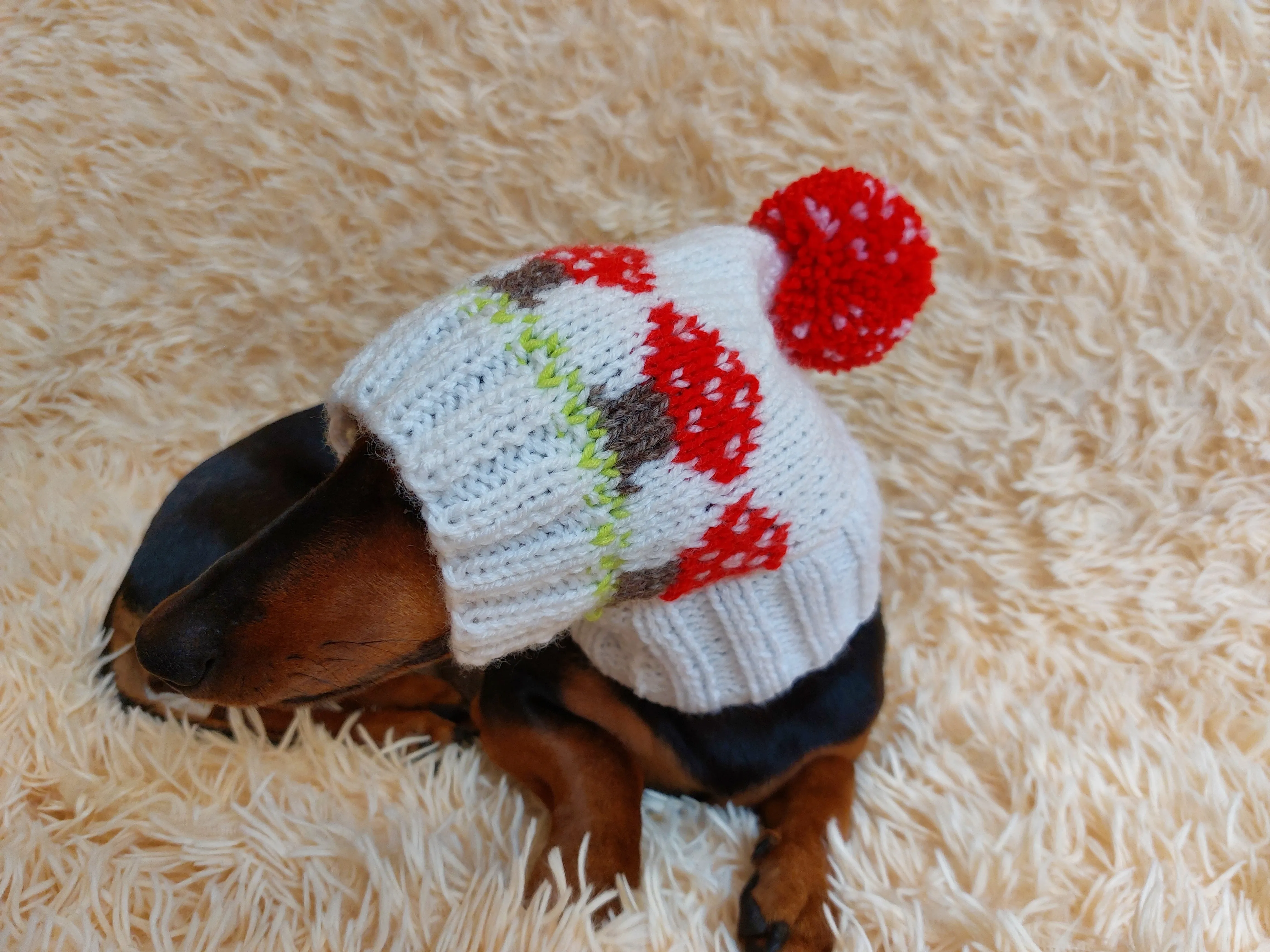 Fly agaric mushroom pet hat, Halloween amanita mushroom dog clothes