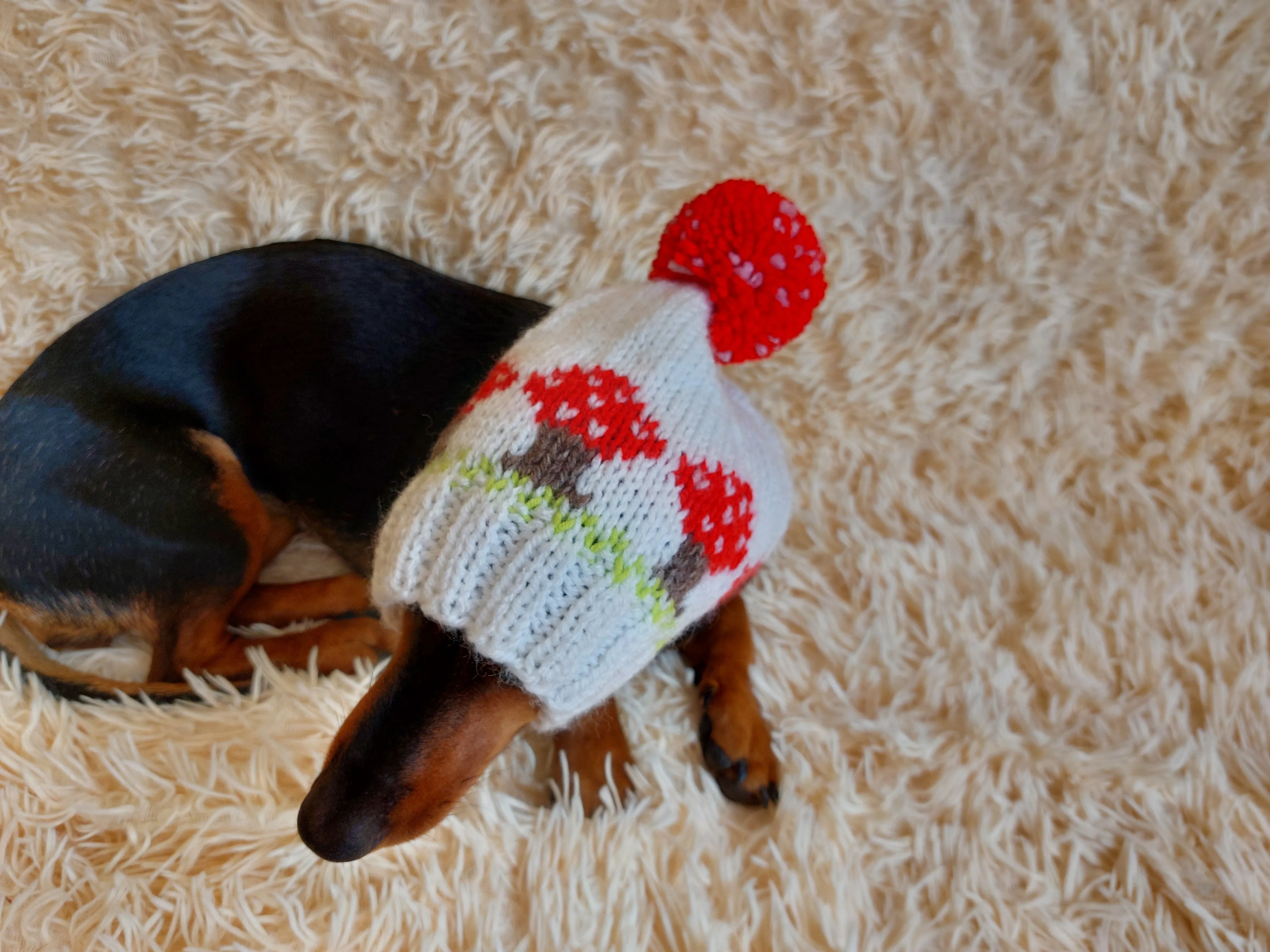 Fly agaric mushroom pet hat, Halloween amanita mushroom dog clothes