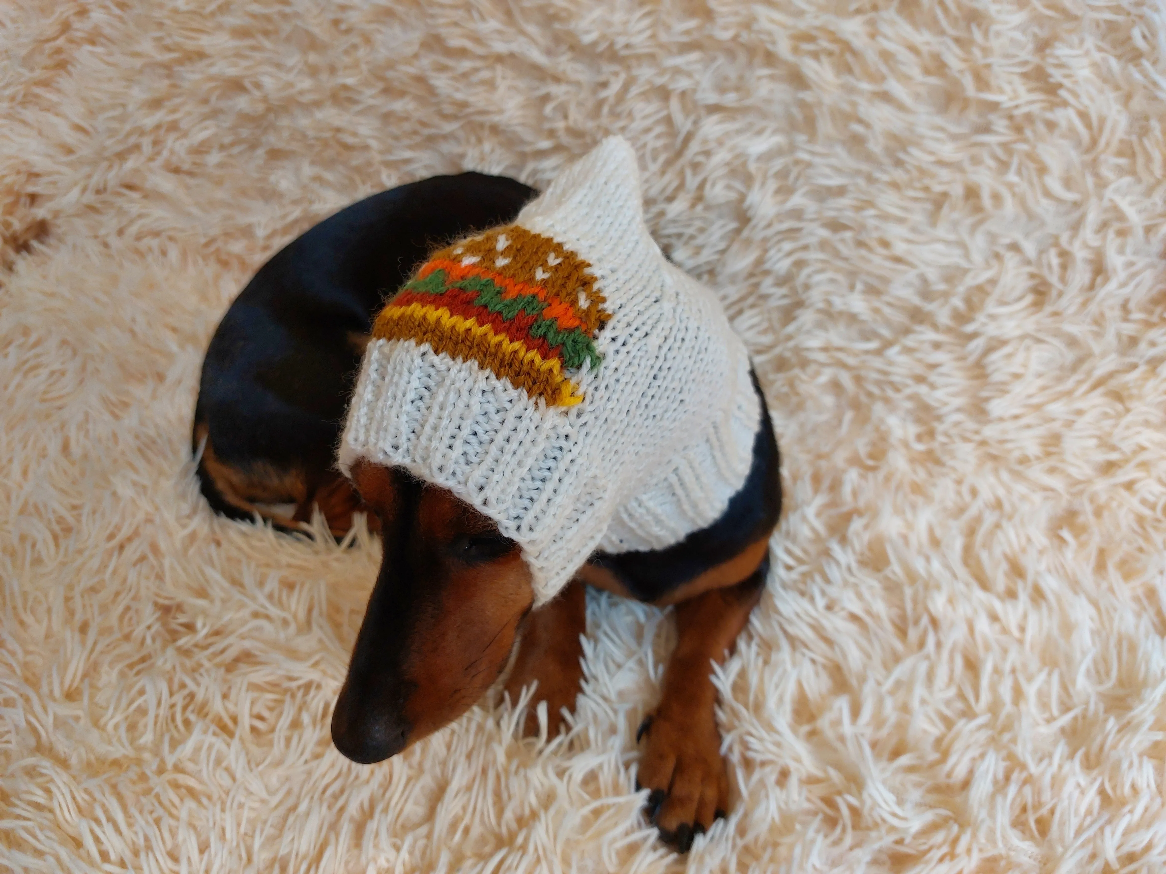 Original Pet Hat with Sandwich Hat for Dog Food Burger Hamburger