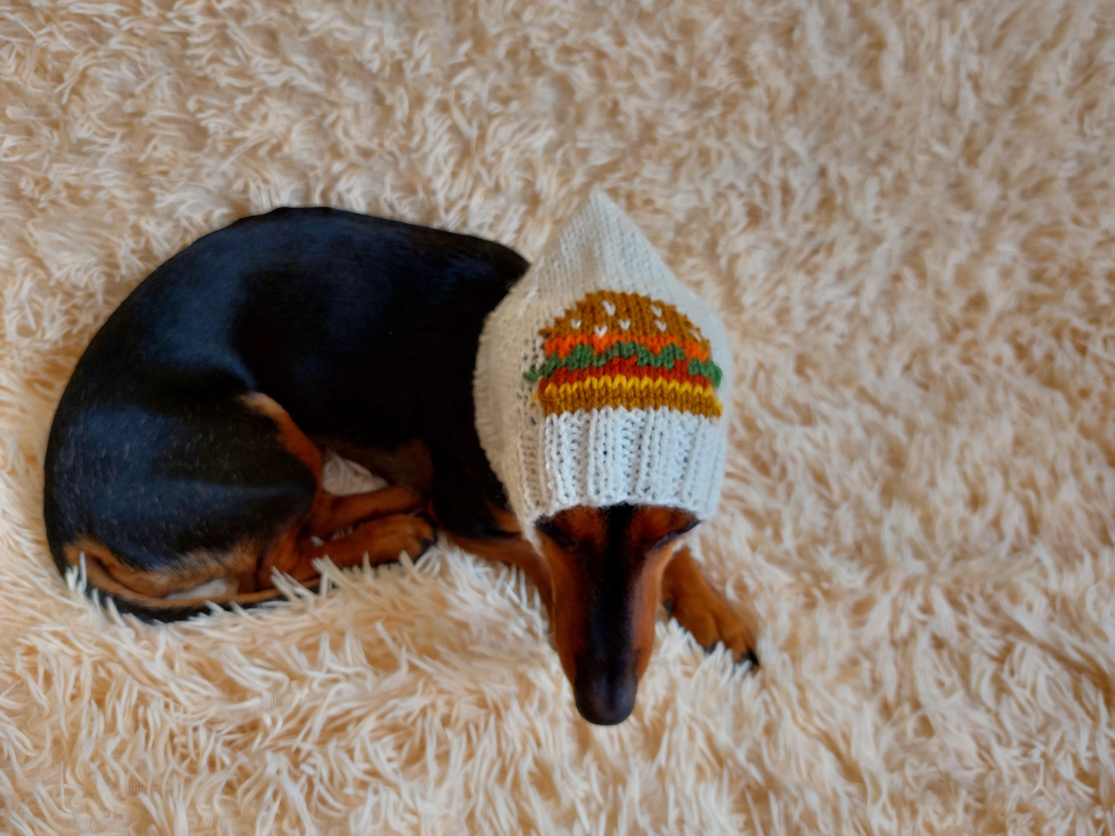 Original Pet Hat with Sandwich Hat for Dog Food Burger Hamburger