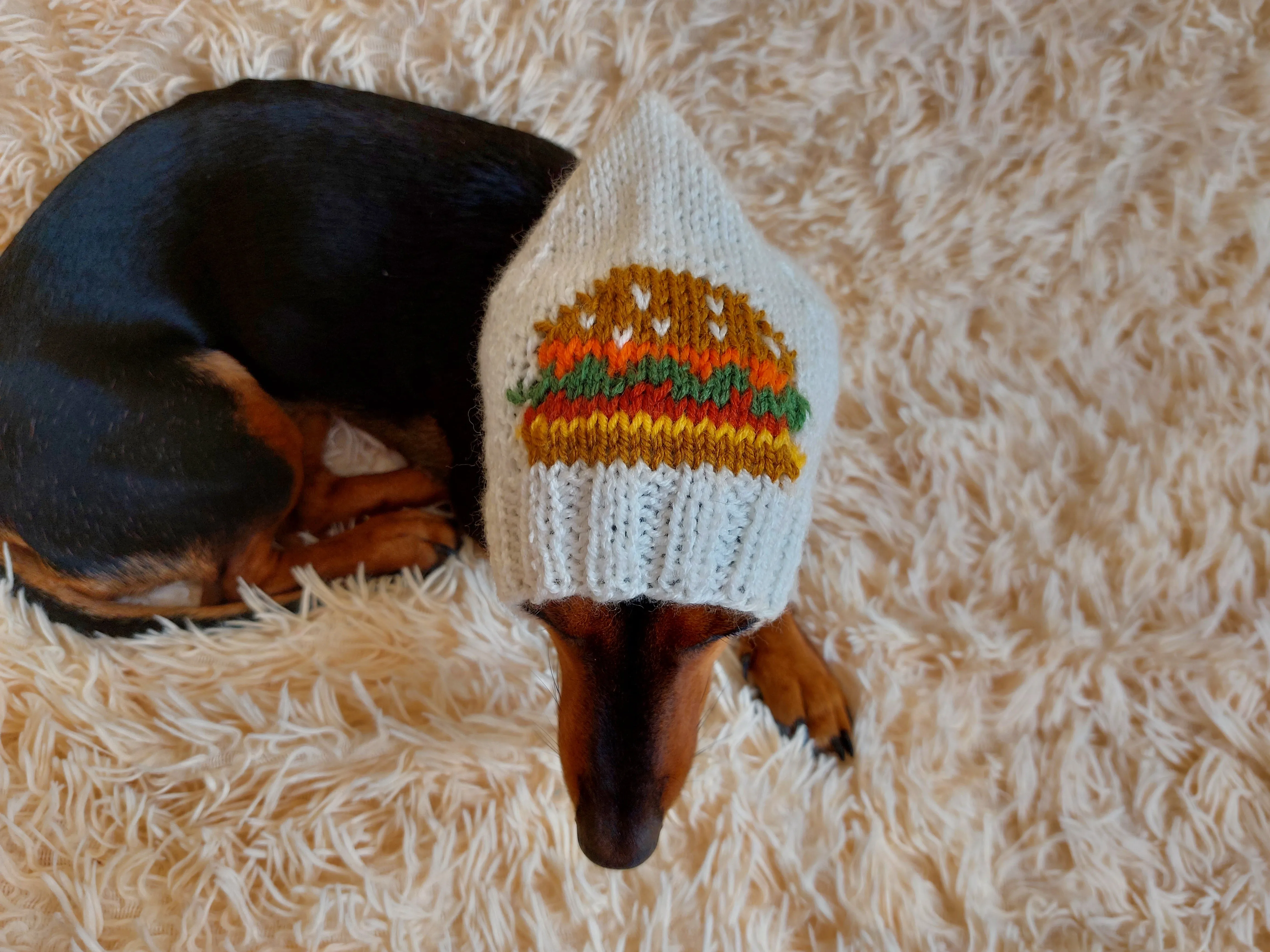 Original Pet Hat with Sandwich Hat for Dog Food Burger Hamburger